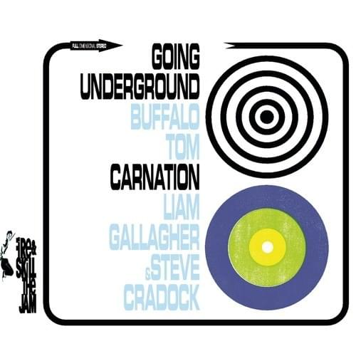 Cover image for Carnation / Going Underground
