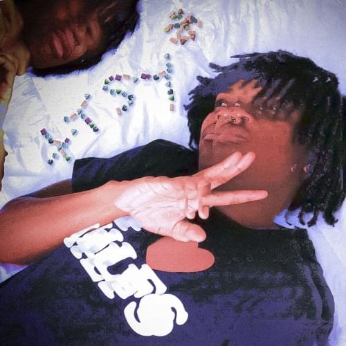 Album cover art for "Regular Hoe / Exotic" by xtsy* & jaymartyrr
