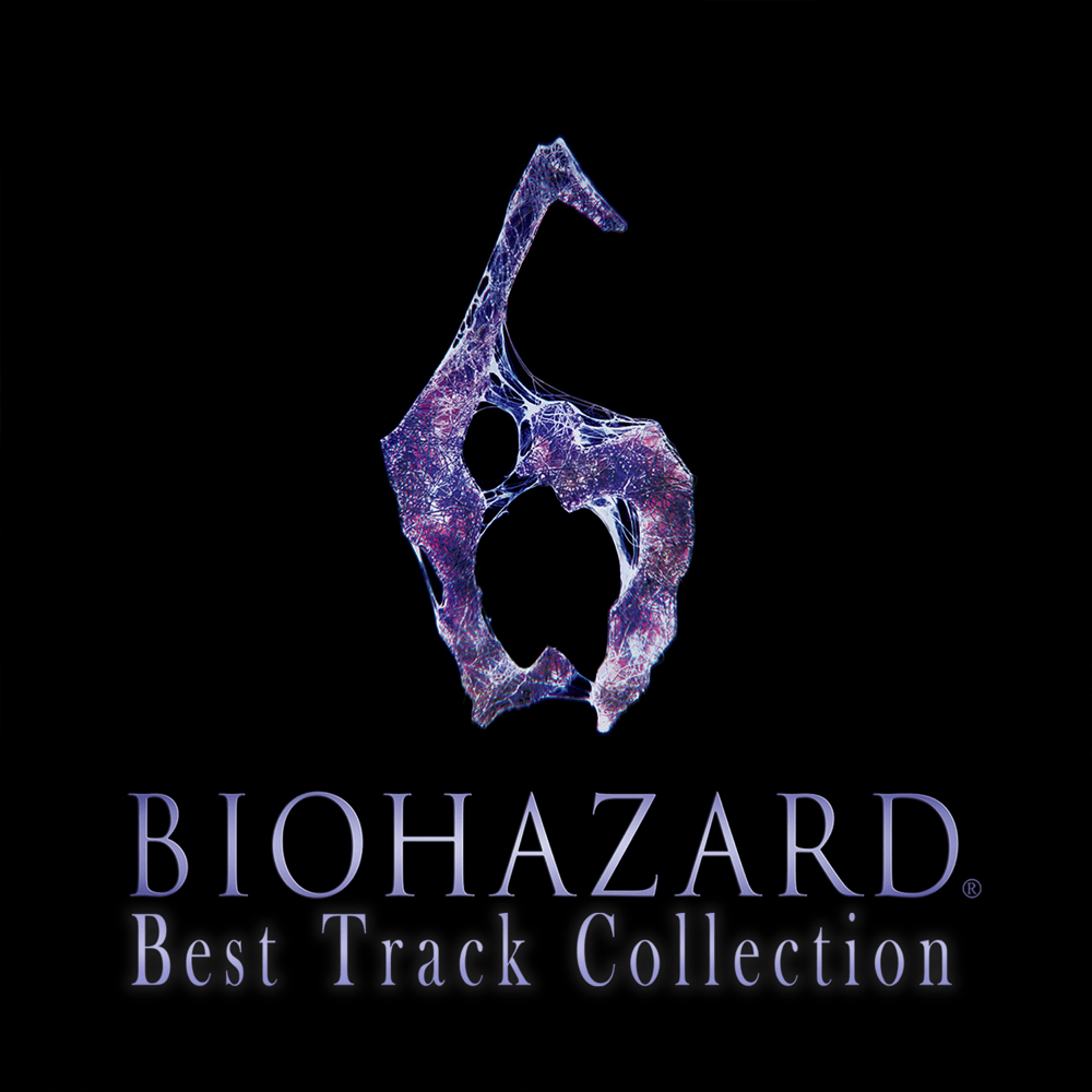 Cover image for BIOHAZARD 6 (Best Track Collection)
