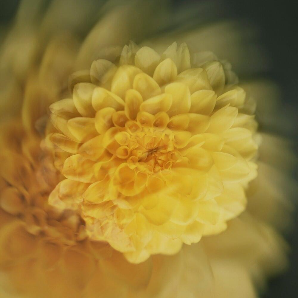 Album cover art for "Париж (Paris) (String Orchestra Studio Live)" by Jane Air