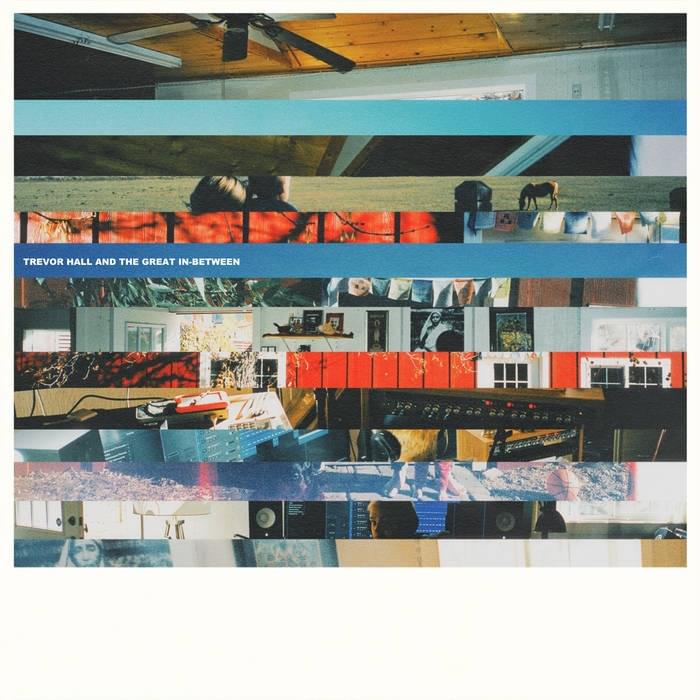 Album cover art for "Shake It Out" by Trevor Hall