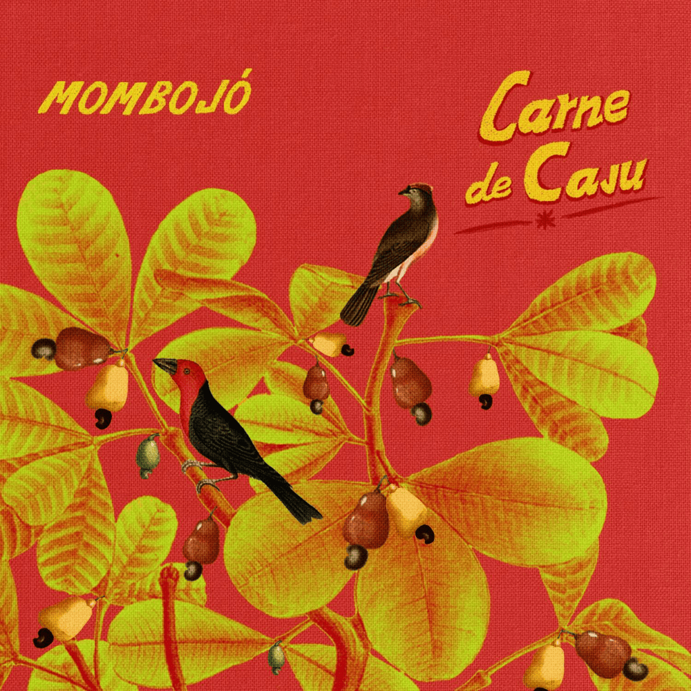 Cover image for Carne de Caju