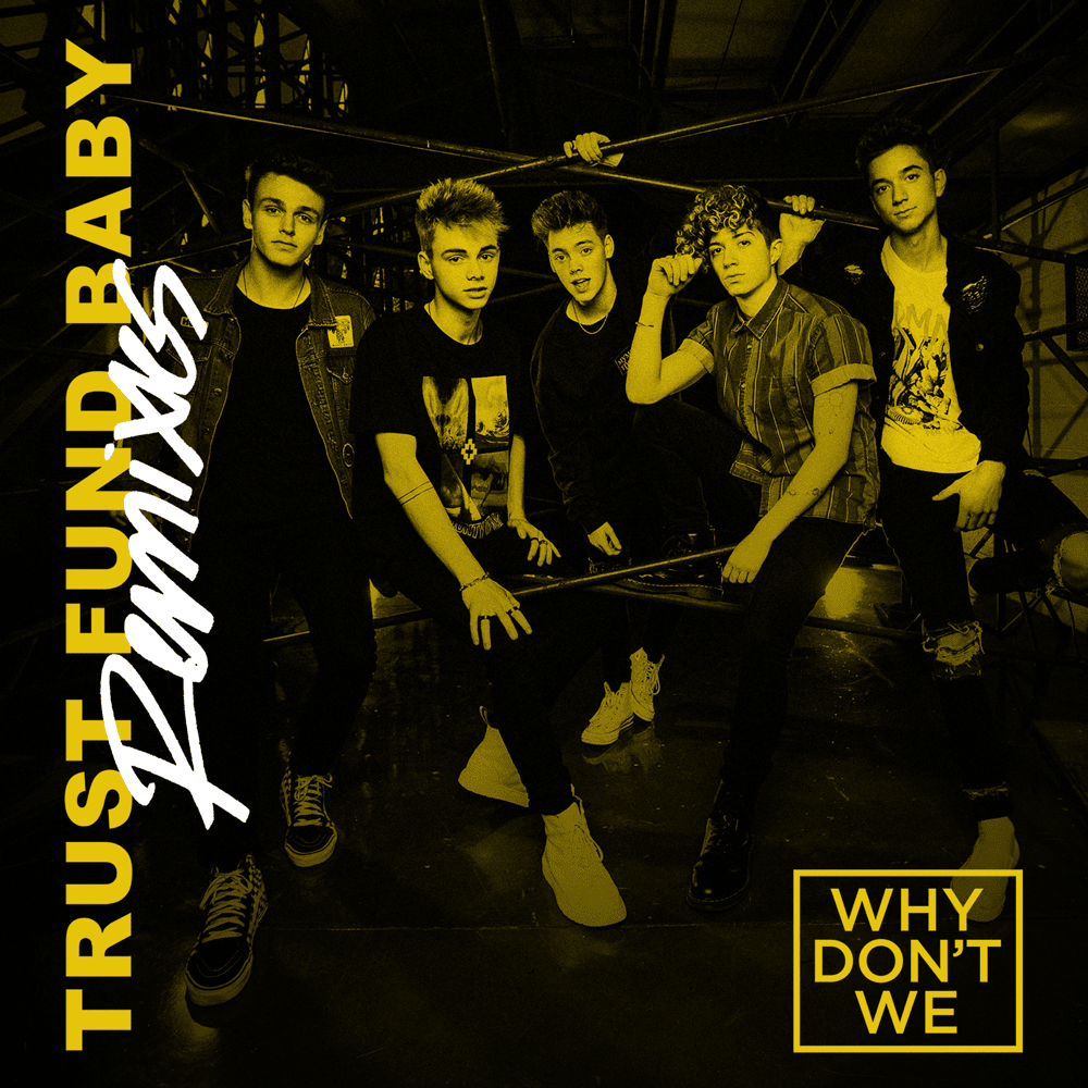 Cover image for Trust Fund Baby (Remixes)