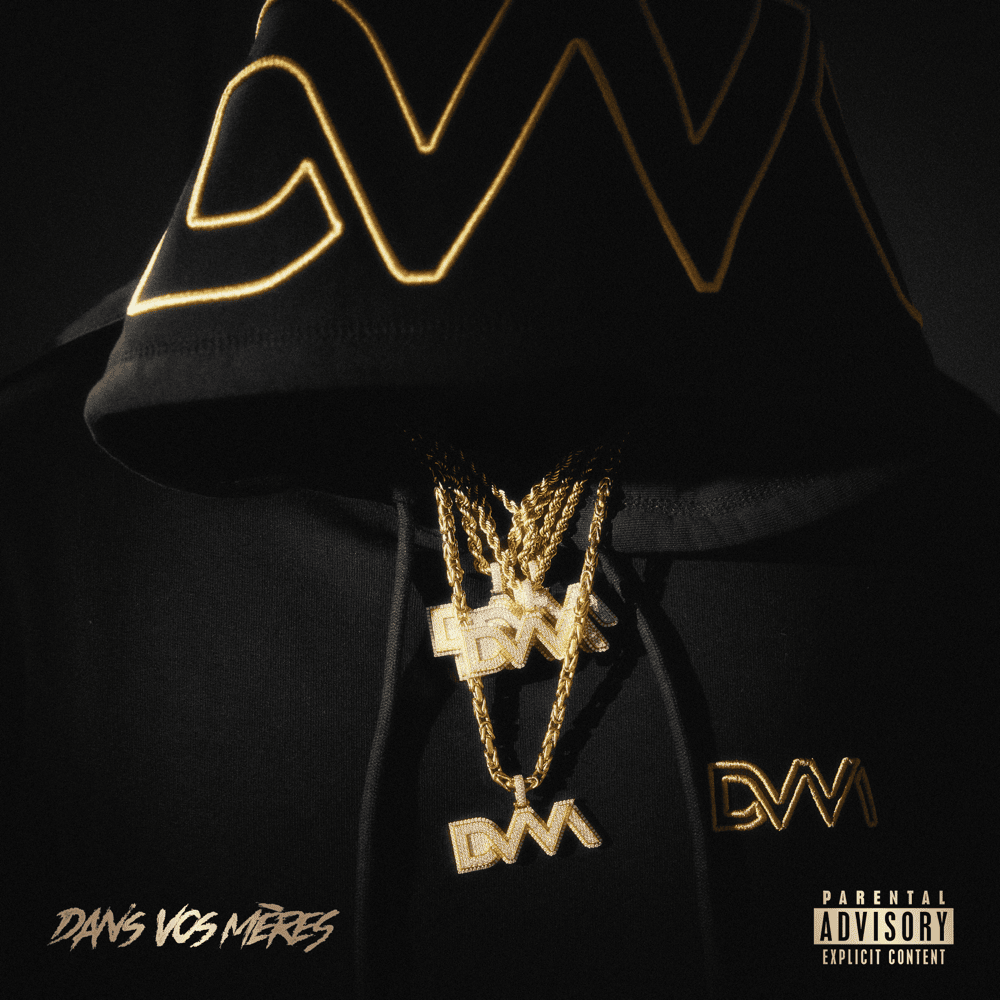 Cover image for Dans vos mères