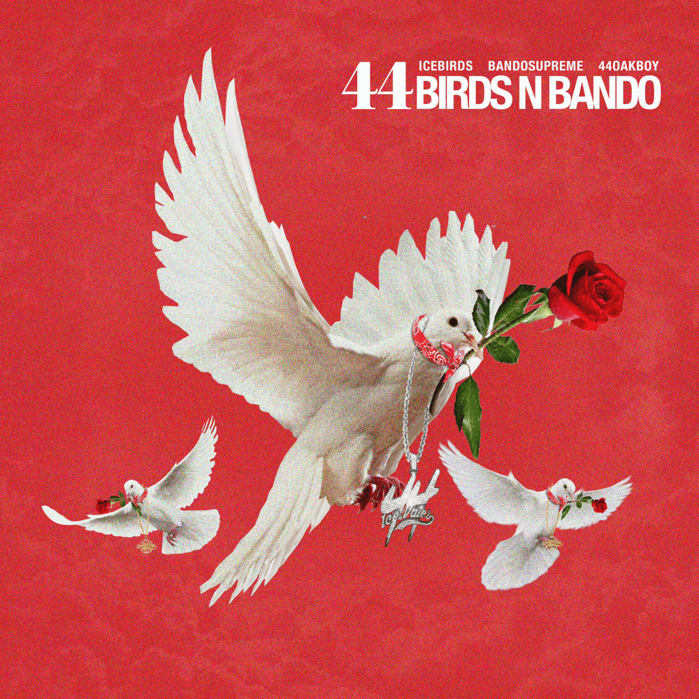 Cover image for 44 Birds n Bando