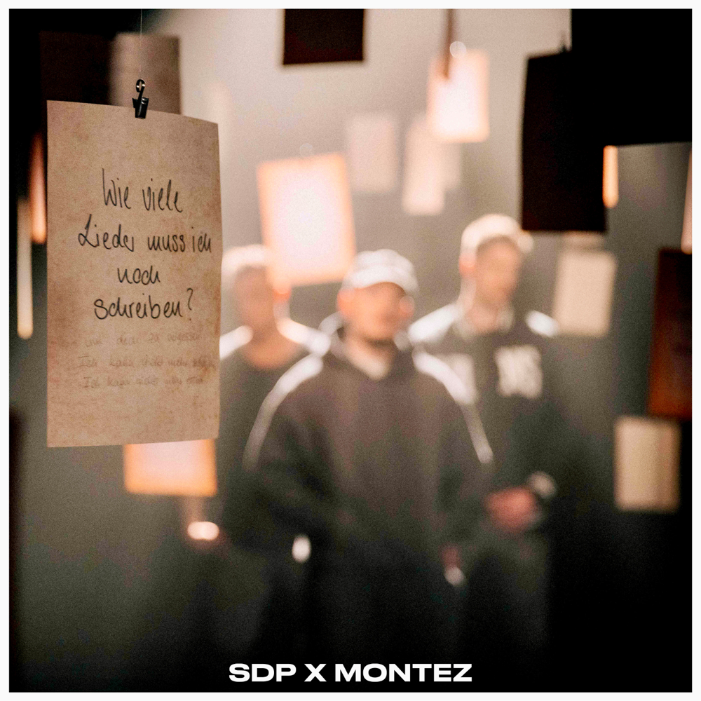 Wie viele Lieder muss ich noch schreiben? by Montez