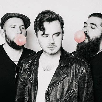 Cover image for The Pink Spiders