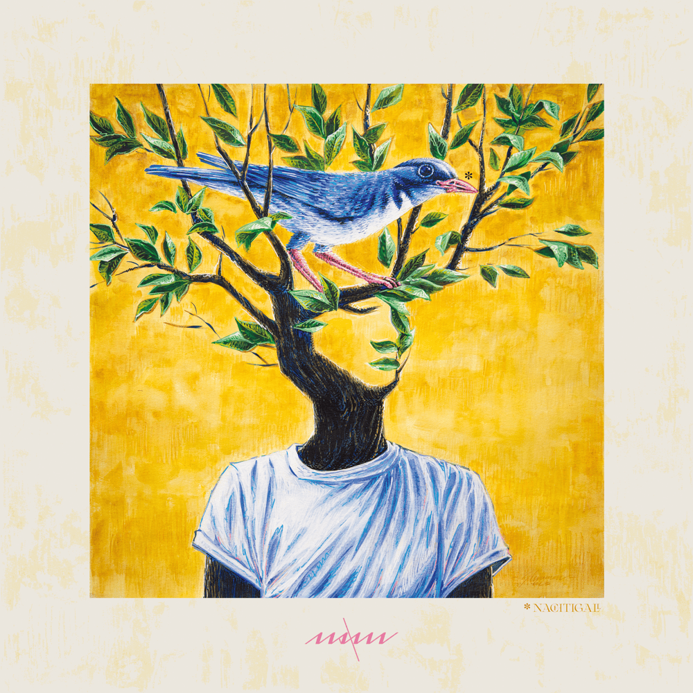 Cover image for Nachtigall