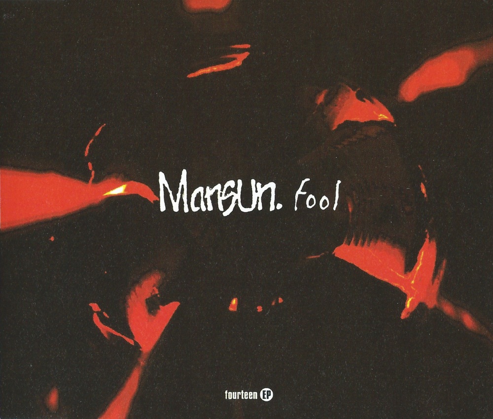 Cover image for Fool