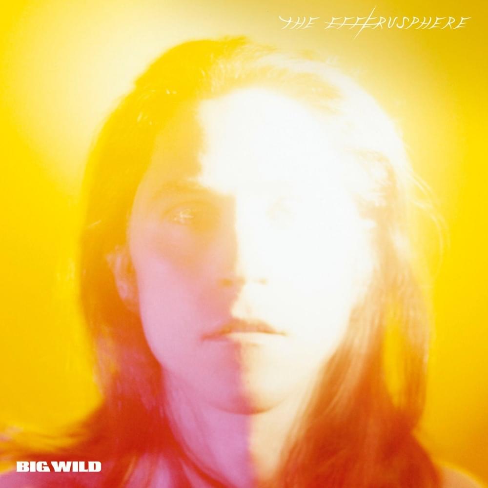 Cover image for The Efferusphere