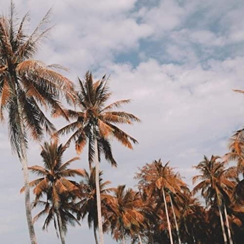 Cover image for Paradise - Single