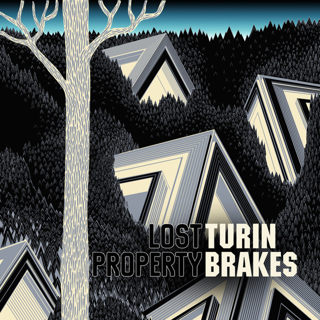 Save You by Turin Brakes