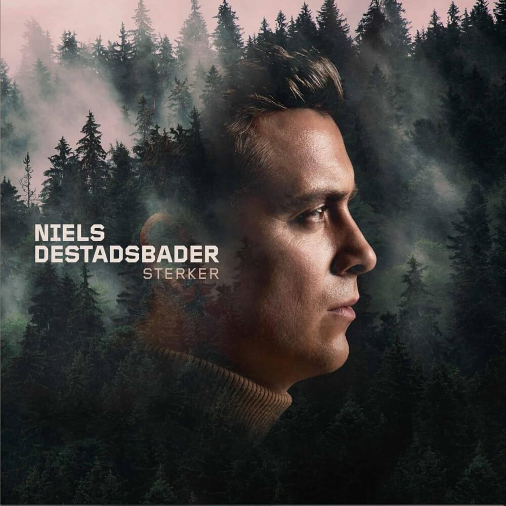 Als Ik Met Je Dans by Niels Destadsbader