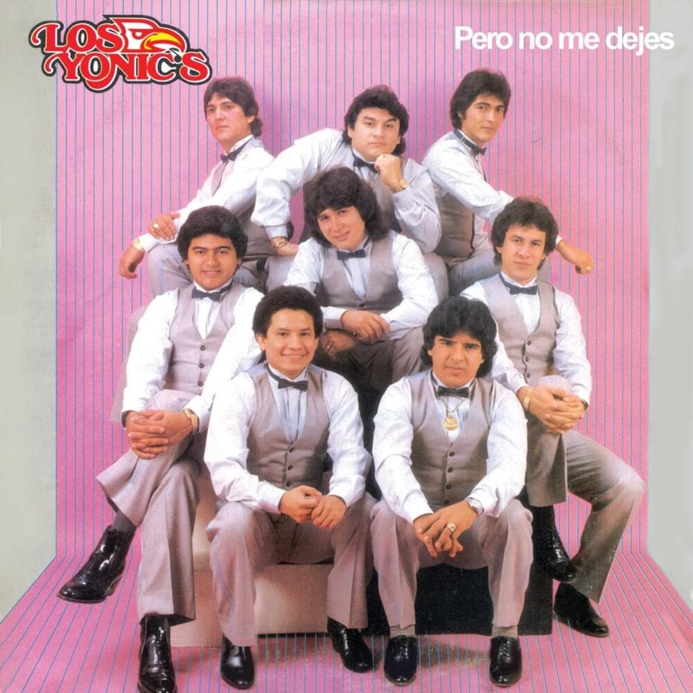 Cover image for Pero No Me Dejes
