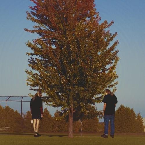 Album cover art for "800db cloud (Ricco Harver Remix)" by 100 gecs