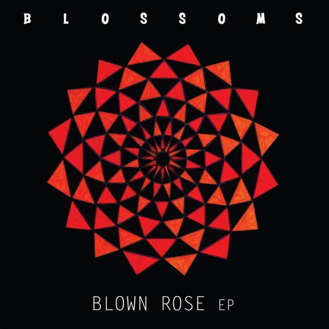 Album cover art for "Stormy" by Blossoms