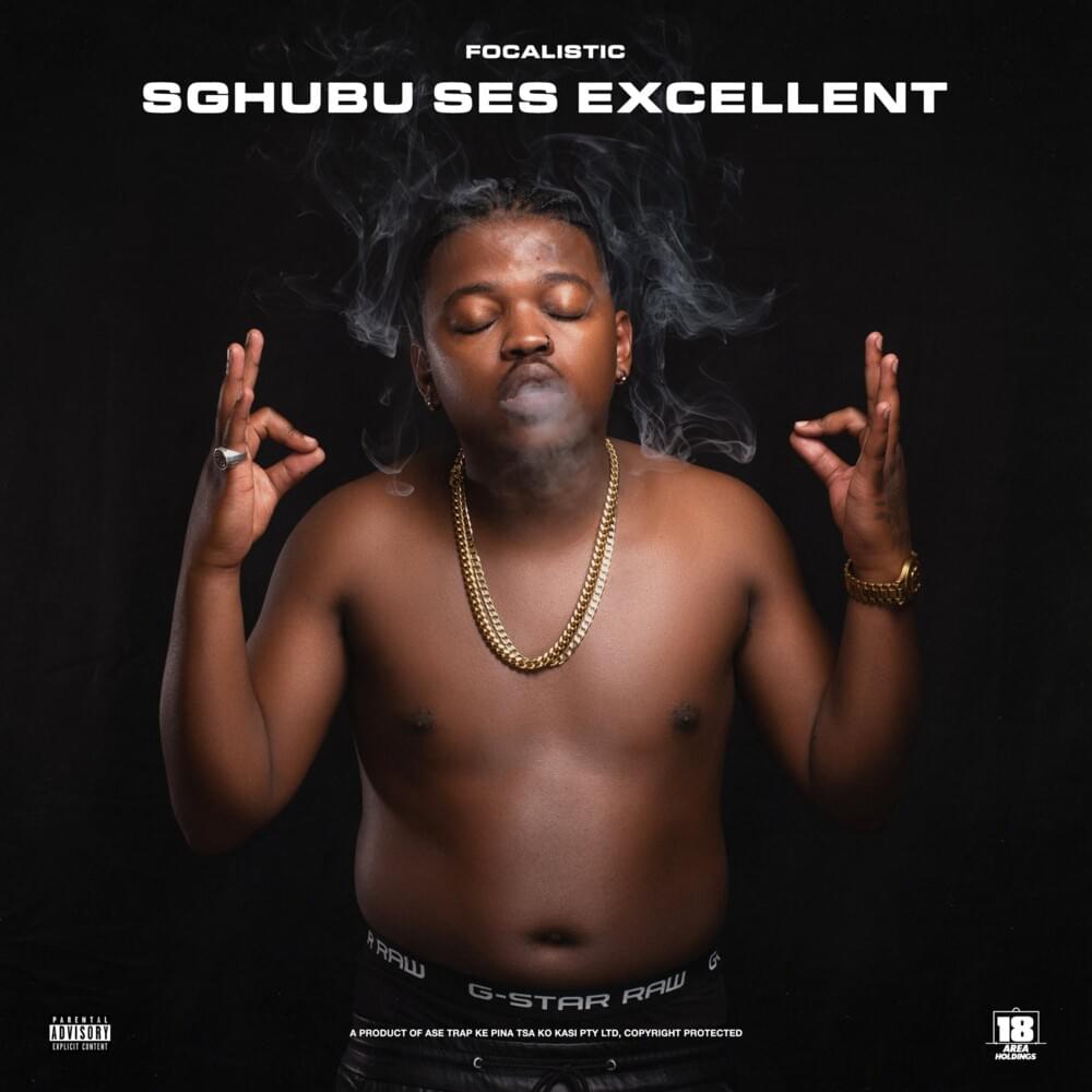 Cover image for Sgubhu Ses Excellent