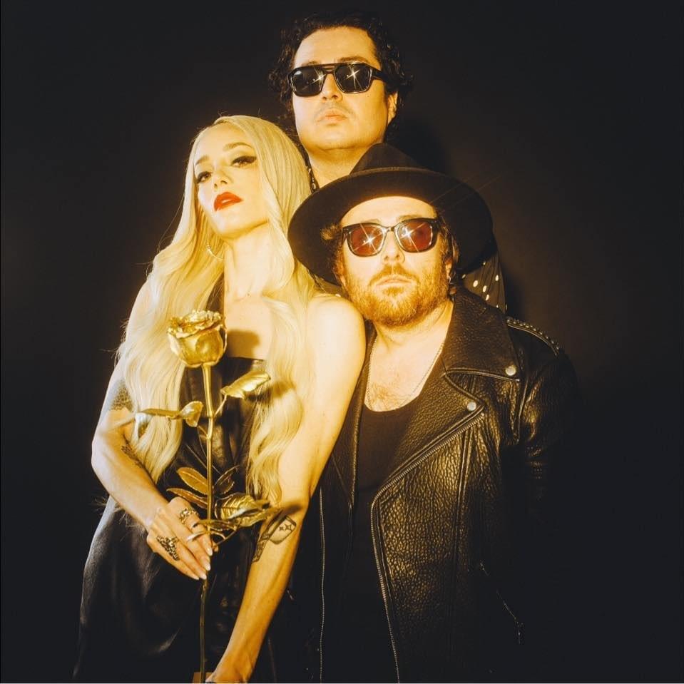 Cover image for Cannons