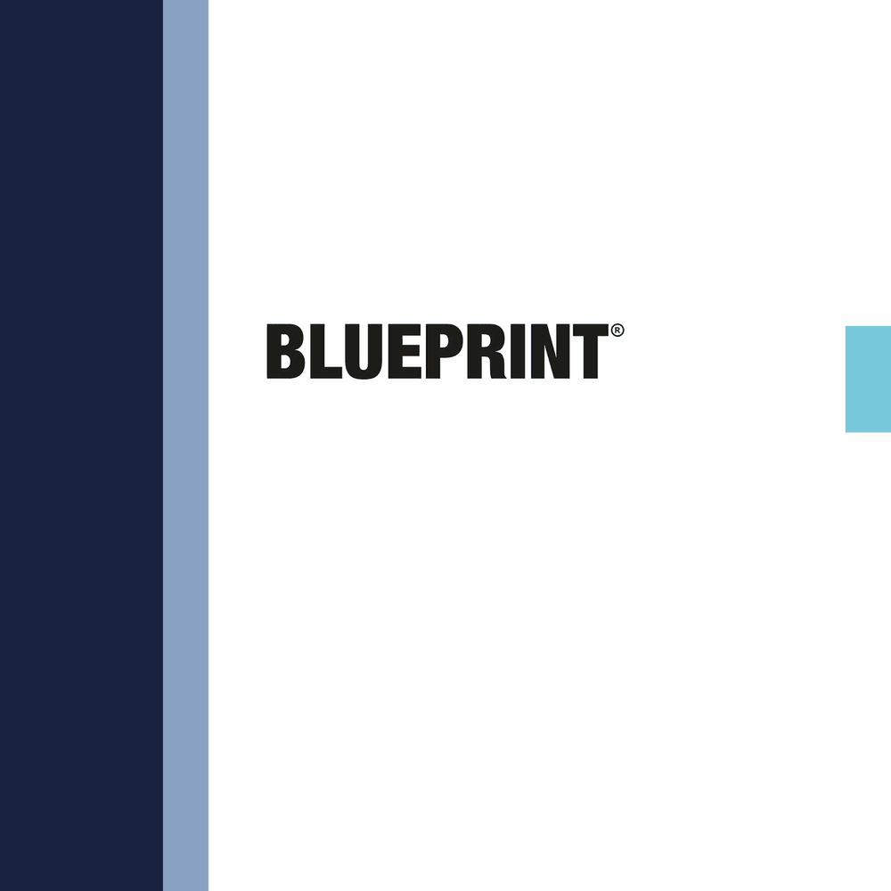 Album cover art for "BLUEPRINT" by KALIM