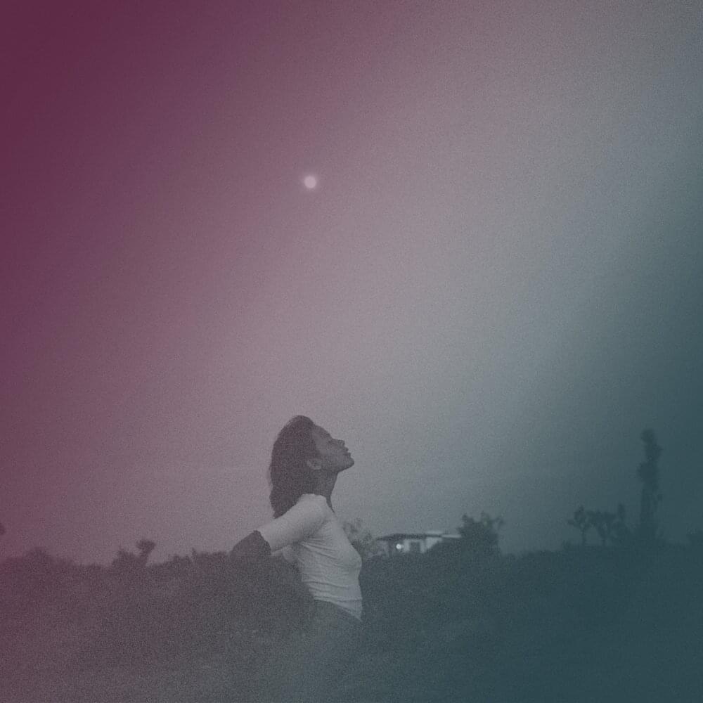 Album cover art for "Nightshade" by Andrew Belle