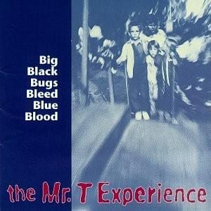 T-Shirt Commercial by The Mr. T Experience