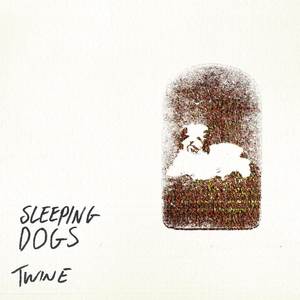Sleeping Dogs by Twine