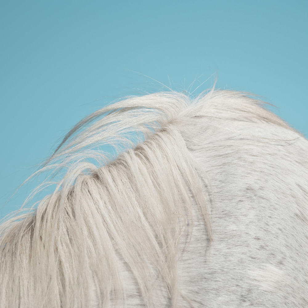 All Yours by Widowspeak