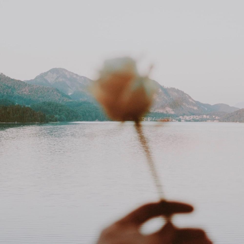I’m in Love with You by NEIL FRANCES