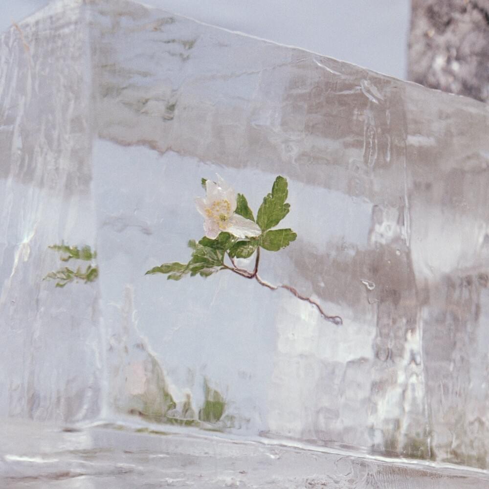 Hold Me Close When You Can by Efterklang