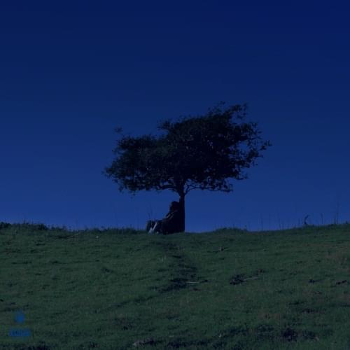 Album cover art for "Balance" by Rexx Life Raj