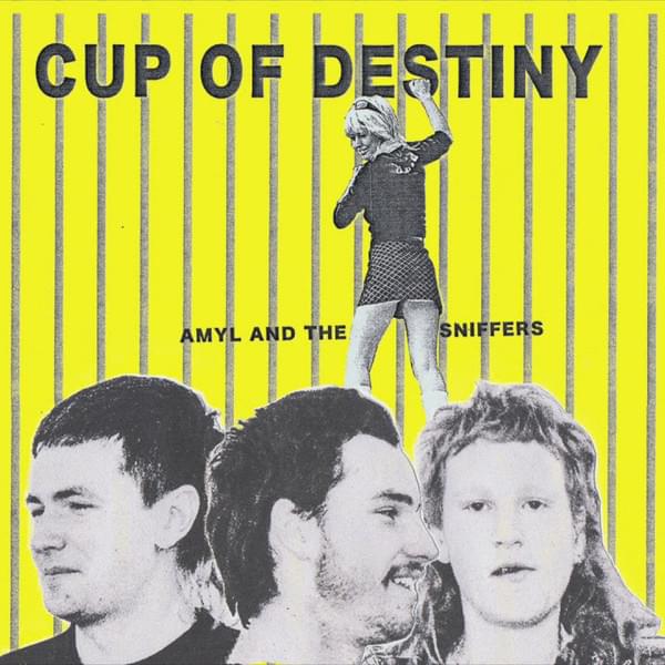 Album cover art for "Cup of Destiny" by Amyl and the Sniffers
