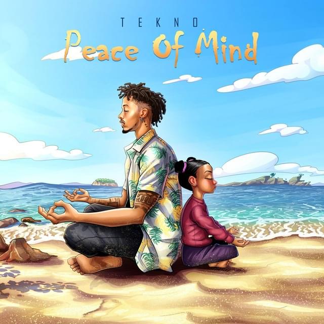 Album cover art for "Peace Of Mind" by Tekno