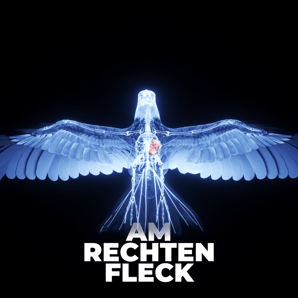 Album cover art for "Am Rechten Fleck" by Credibil