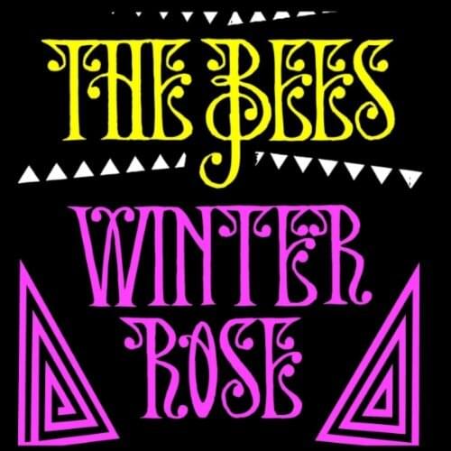 Winter Rose by The Bees