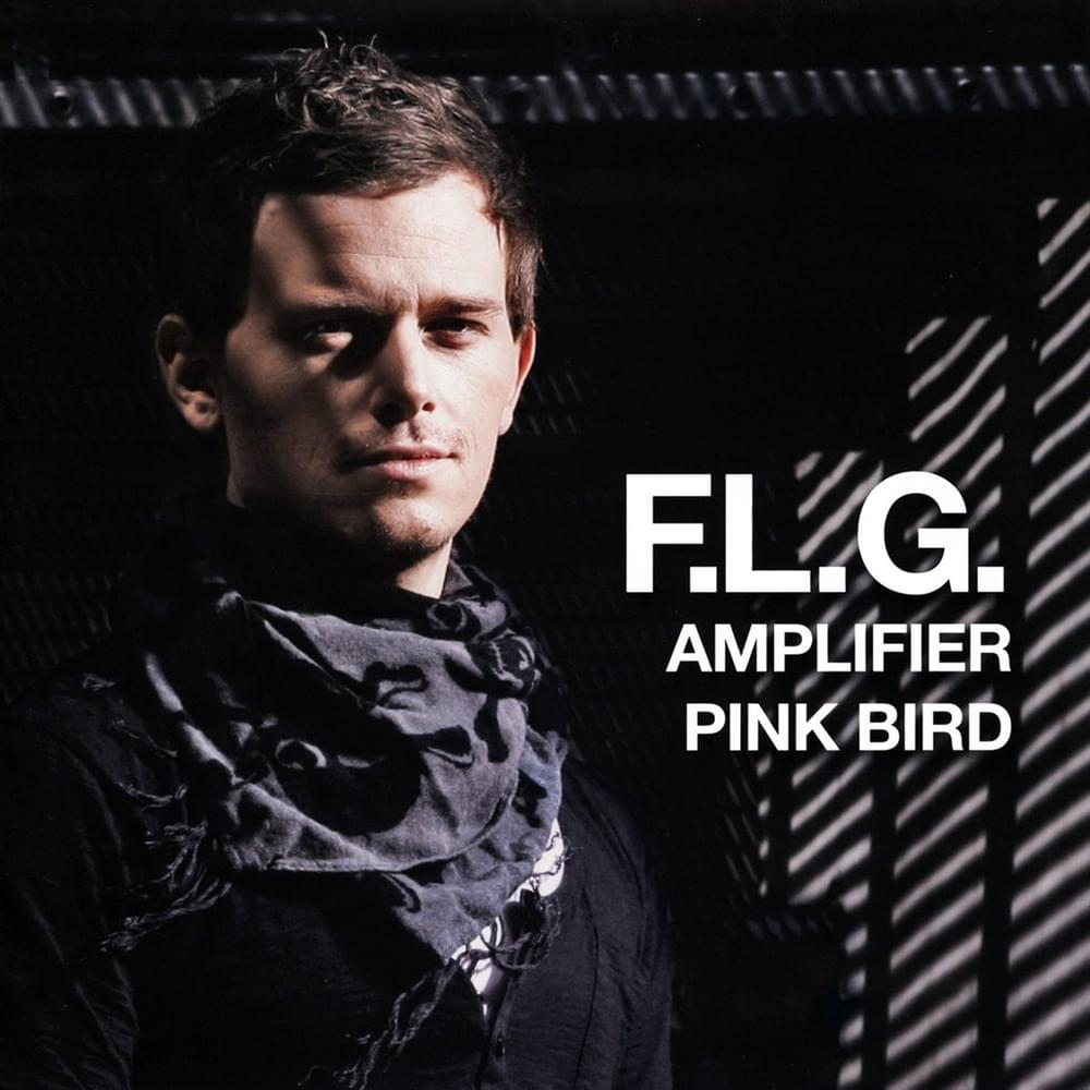 Cover image for Amplifier / Pink Bird
