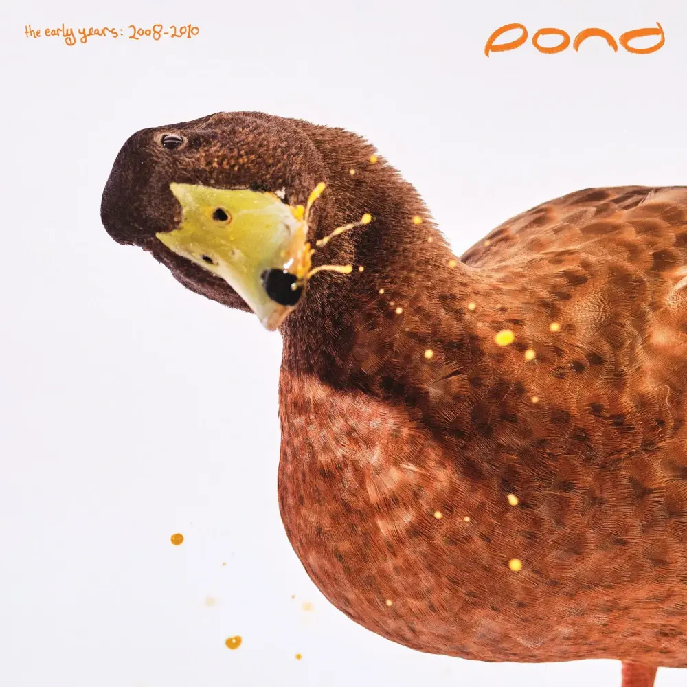 Cover image for The Early Years: 2008–2010