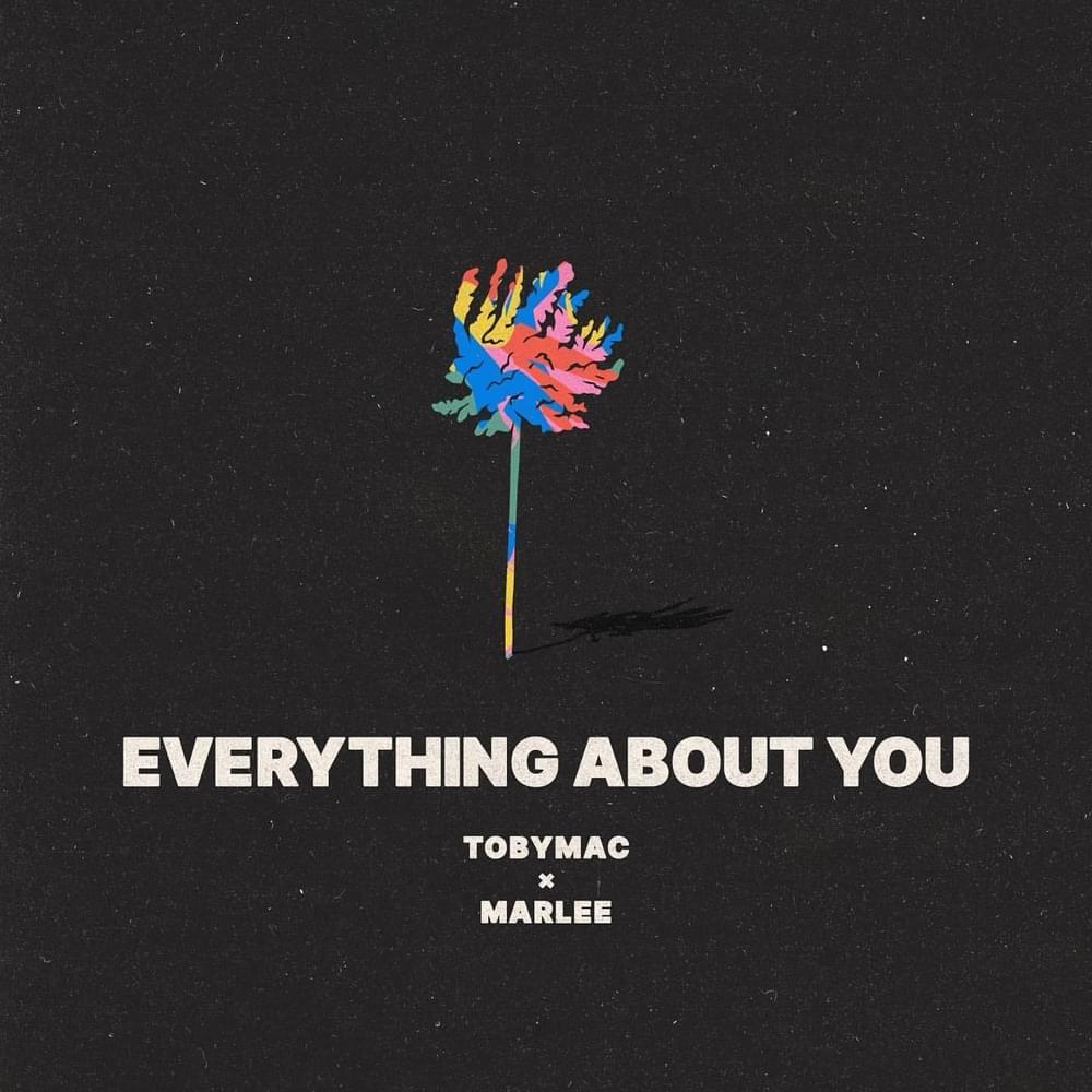 Album cover art for "Everything About You" by TobyMac
