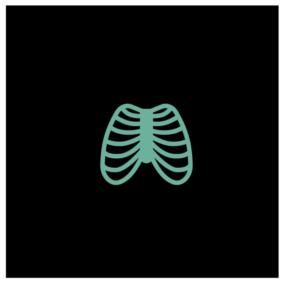 Album cover art for "ExoSkeleton" by Lights