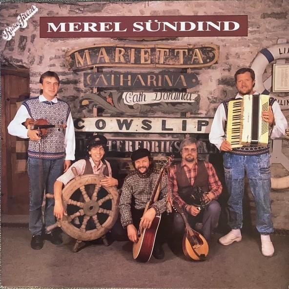Cover image for Merel Sündind
