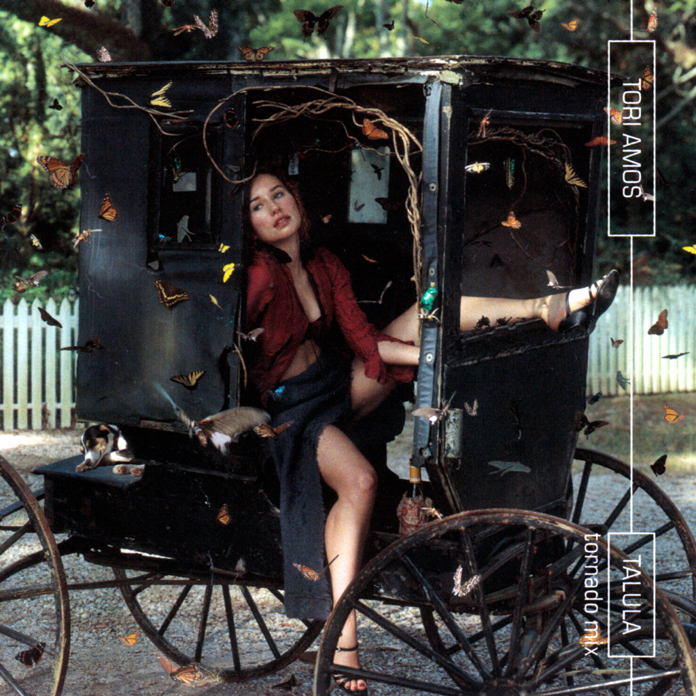 Album cover art for "Alamo" by Tori Amos