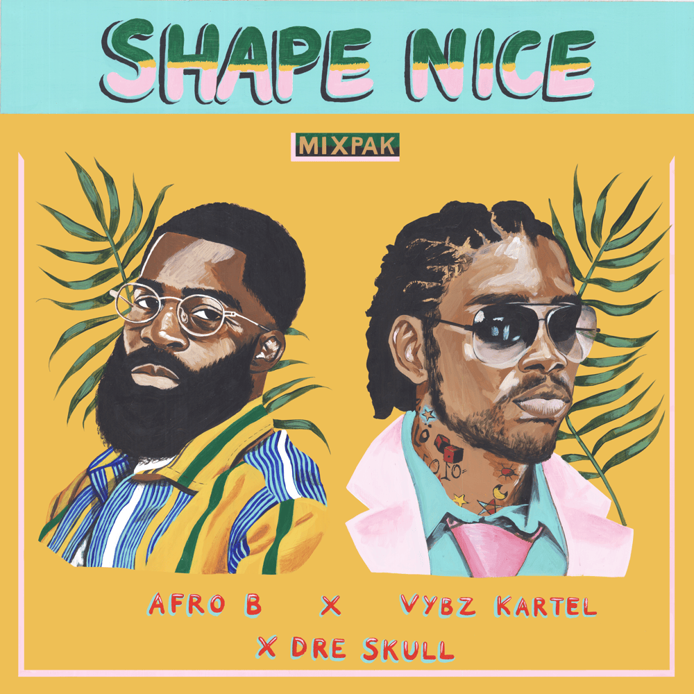 Shape Nice by Afro B