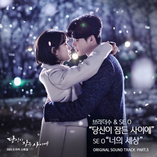Album cover art for "당신이 잠든 사이에 (While You Were Sleeping)" by Brother Su (브라더수)