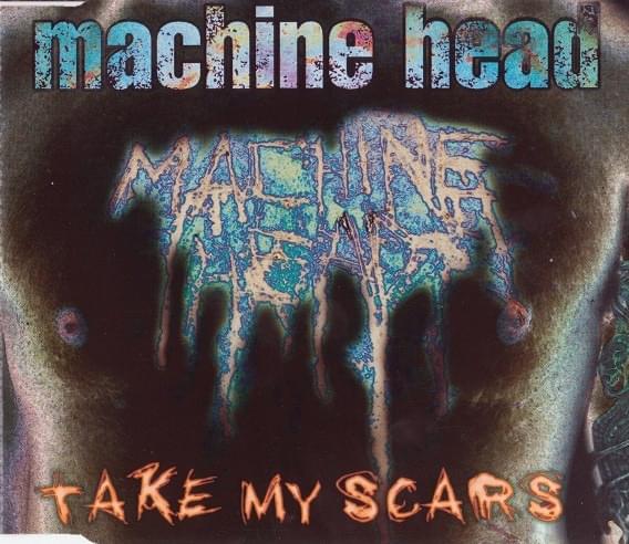 Album cover art for "Take My Scars" by Machine Head