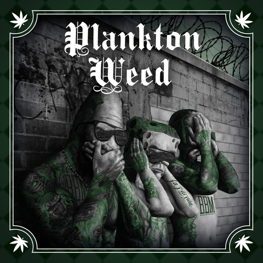 Album cover art for "Intro (Planktonweed Tape)" by SpongeBOZZ