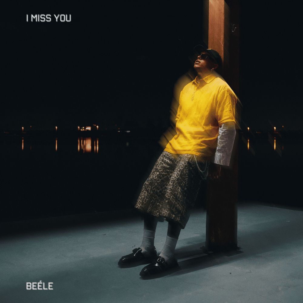 Cover image for I Miss You