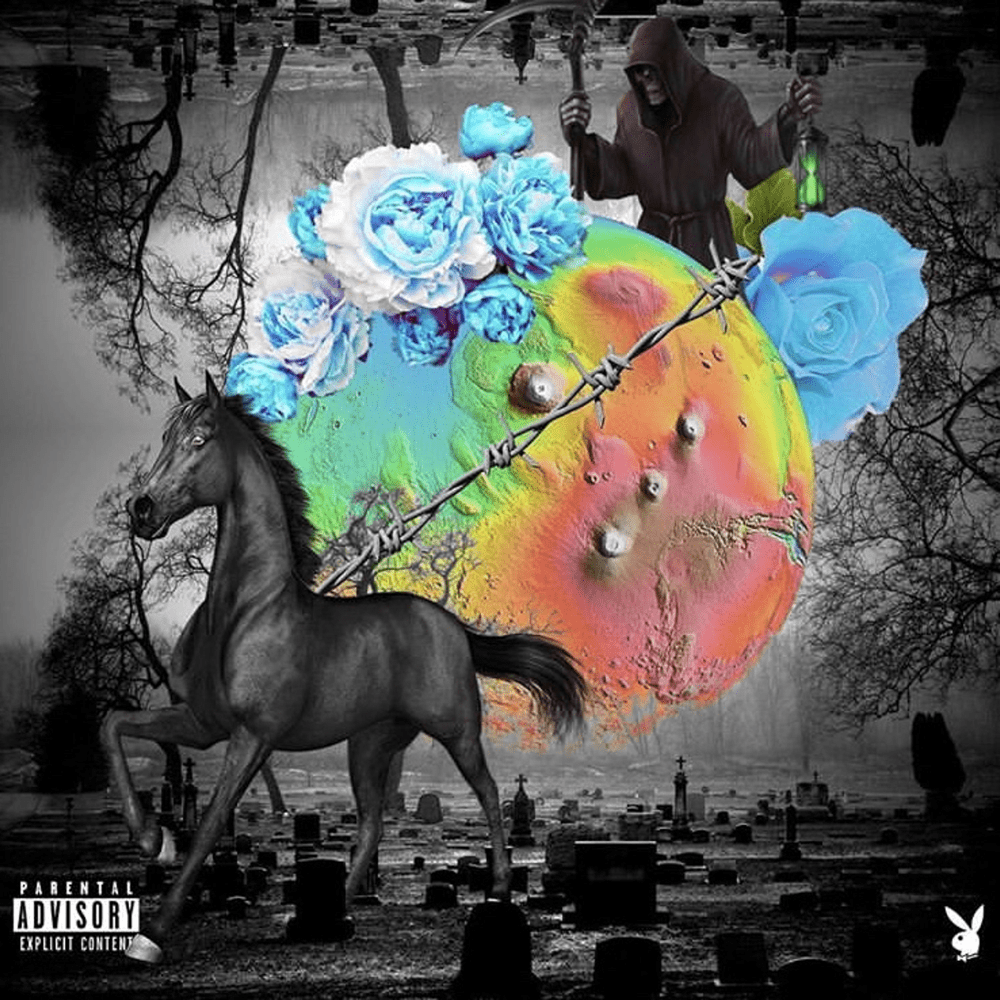 Cover image for Darkhorse