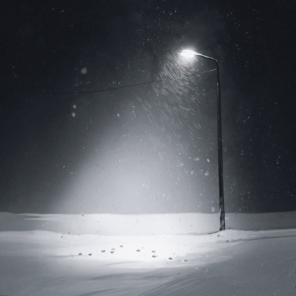 Album cover art for "в пухе тополином (in poplar fluff)" by ГАФТ (GAFT)