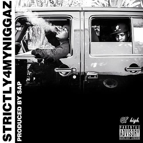 Album cover art for "STRICTLY4MYNIGGAZ" by Domo Genesis