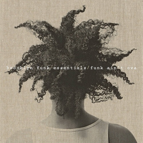 Cover image for Funk Ain’t Ova