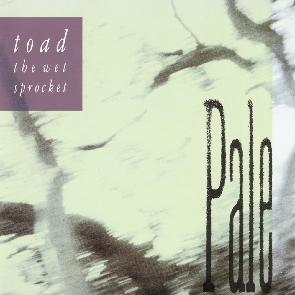 Album cover art for "Come Back Down" by Toad the Wet Sprocket